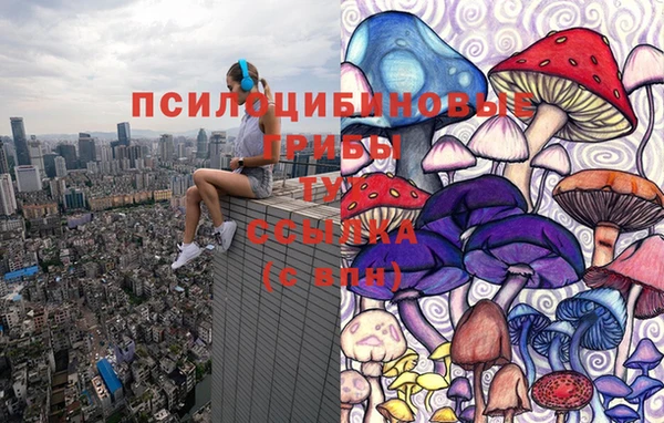 индика Кинешма