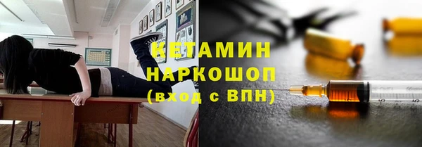 индика Кинешма