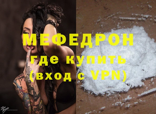 индика Кинешма